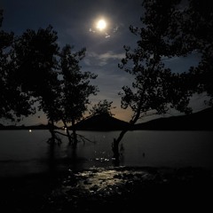 Sunlight in your Eyes