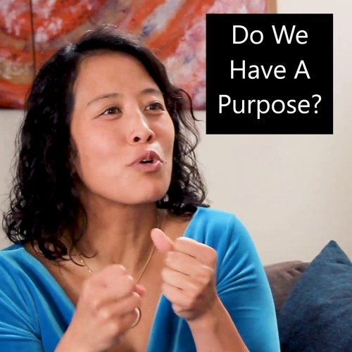 Episode 45 Do We Have a  Purpose