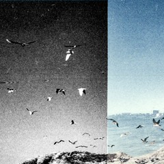 Bussimi Naapinneq - Immikkoortoq Siulleq