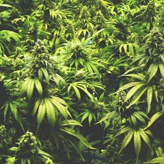 Clockwork - Stickin 2 Tha Rules