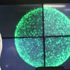 Clockwork F/ Don - My Pain