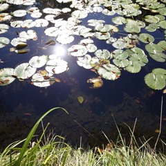 A Thousand Kisses Deep (Leonard Cohen cover)