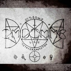 Shadow Prosthesis - IMDIMMB