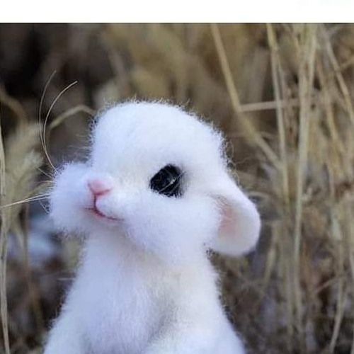 Edm Mix New Trance 2020