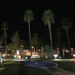 City Night Travel