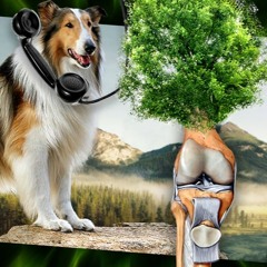 Knee Oak Lassie Call