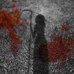 Late Night Jeff Special