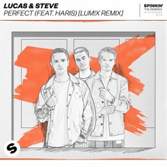 Lucas & Steve - Perfect (LUM!X Remix) [OUT NOW]