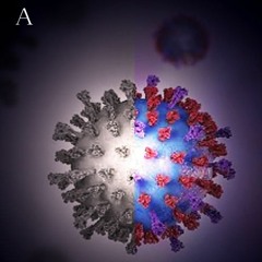 Virus_Original demo [no master]