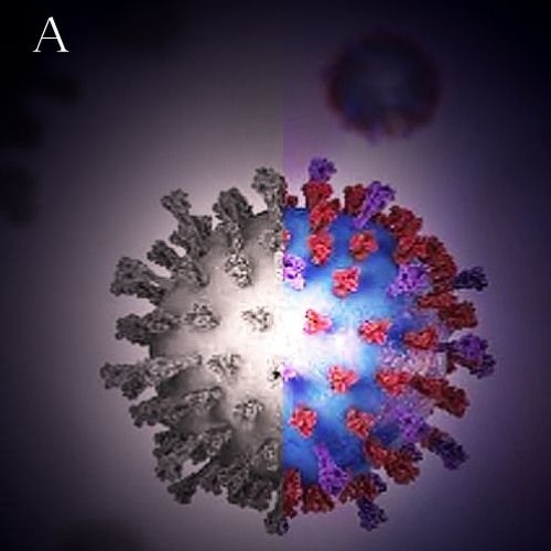 Virus_Original demo [no master]