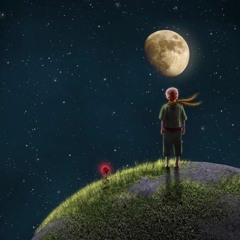 중력의 법칙 : The Little Prince