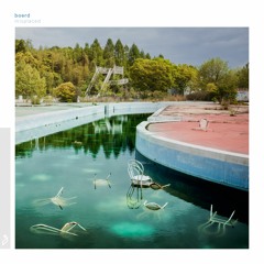 boerd - Silver