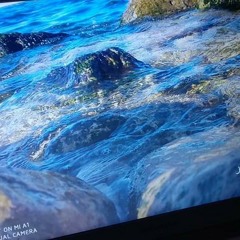 ريمي رشا رزق إيقاع بدون موسيقى