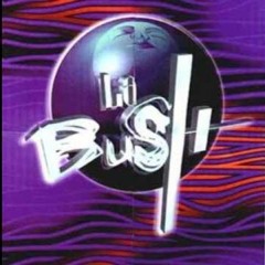 La Bush in a nutshell 17