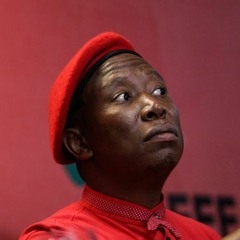 The Julius Malema Song
