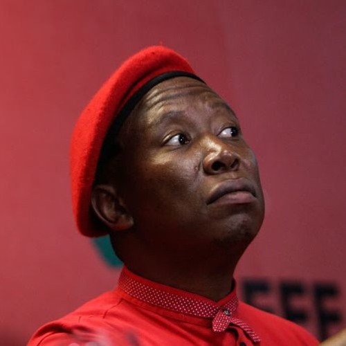 The Julius Malema Song