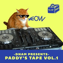 DNAM PRESENTS - PADDY'S TAPE VOL.1
