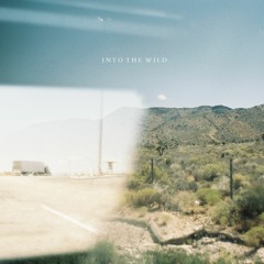 moty & Arros - Into the wild