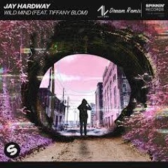 Jay Hardway - Wild Mind (feat. Tiffany Blom) Dj Max Lietta Dream Remix