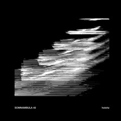Somnambula 40 — Holohz