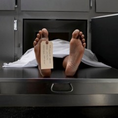 Wig You One - Ft Phillie