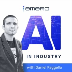 Bonus Episode: The Critical AI Capabilities for Nontechnical Professionals - With Scott Nowson