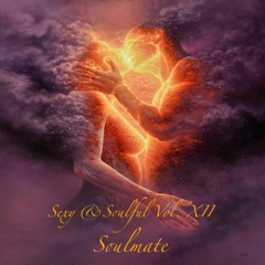 Sexy & Soulful Vol. XII - Soulmate