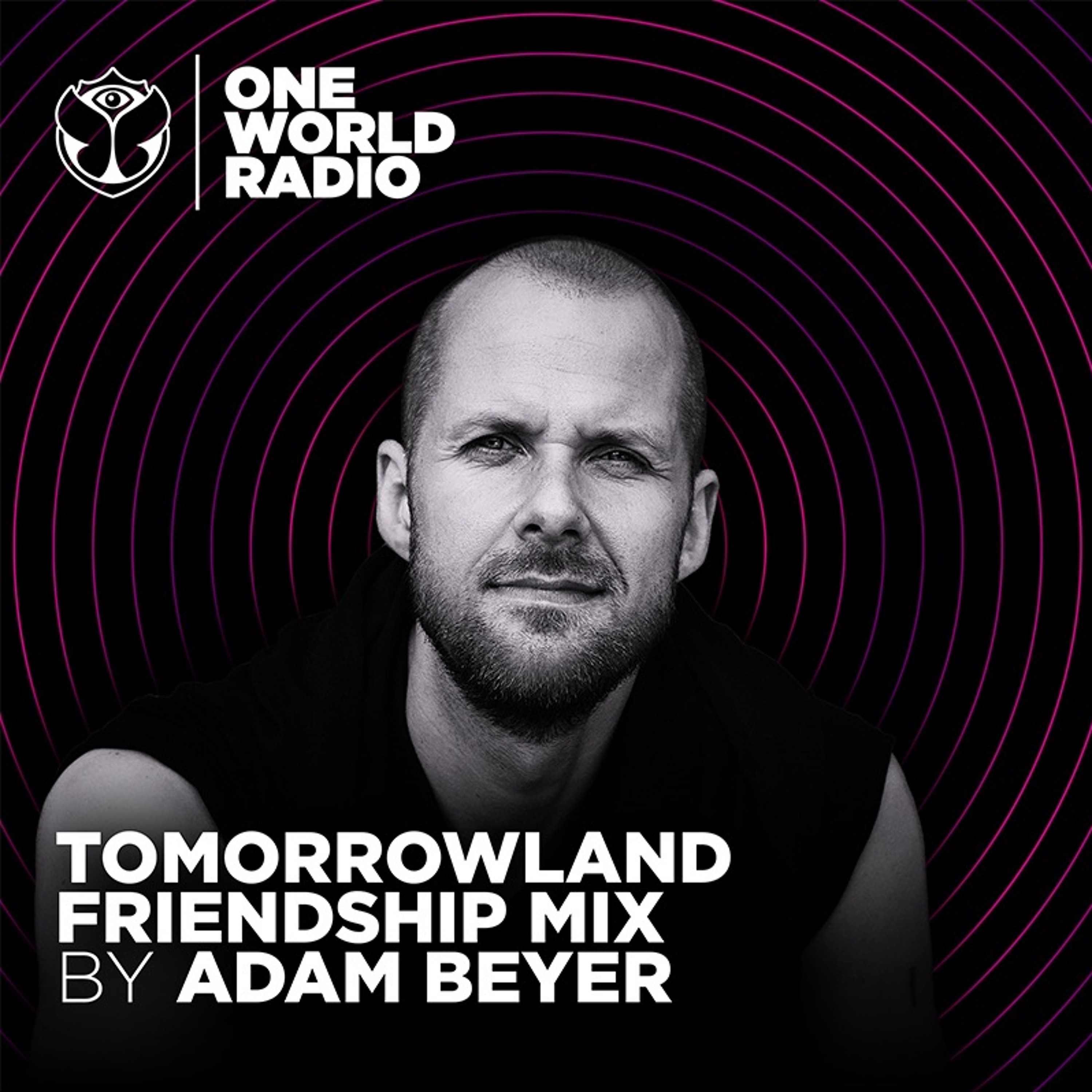 Tomorrowland Friendship Mix