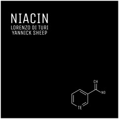 Lorenzo Di Turi & Yannick Sheep - Niacin