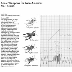 Sonic Weapon From Latin America – No 1: Crickets