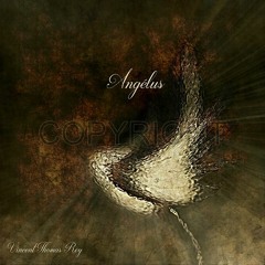 "Grâce Divine - 28/11/19 (2019)" (© Extrait)Album "Angélus" 🇫