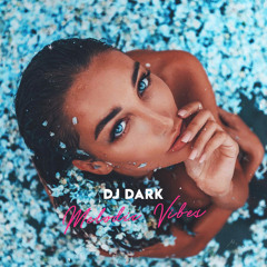 Dj Dark - Melodic Vibes (November 2019)
