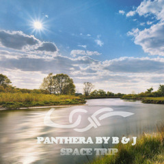 UNGOP001 : Panthera By B & J - Space Trip (Original Mix)
