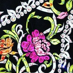 Images on Silk and Velvet