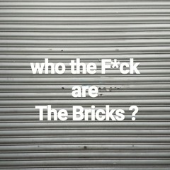 The Bricks- Gadis Italia[cover] home recording.m4a