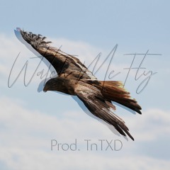 Watch Me Fly - Trilla