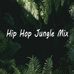 Hip Hop Jungle Mix - Ft. ASAP, Travis Scott, YG