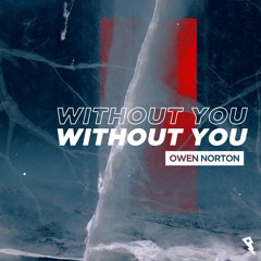 Owen Norton - Without You (Radio Edit)