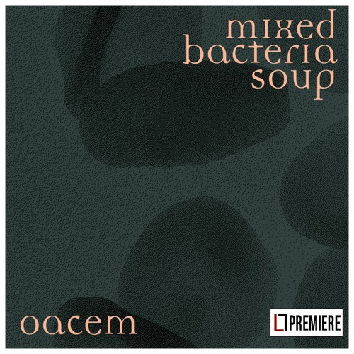 OACEM - Windex (QR006)