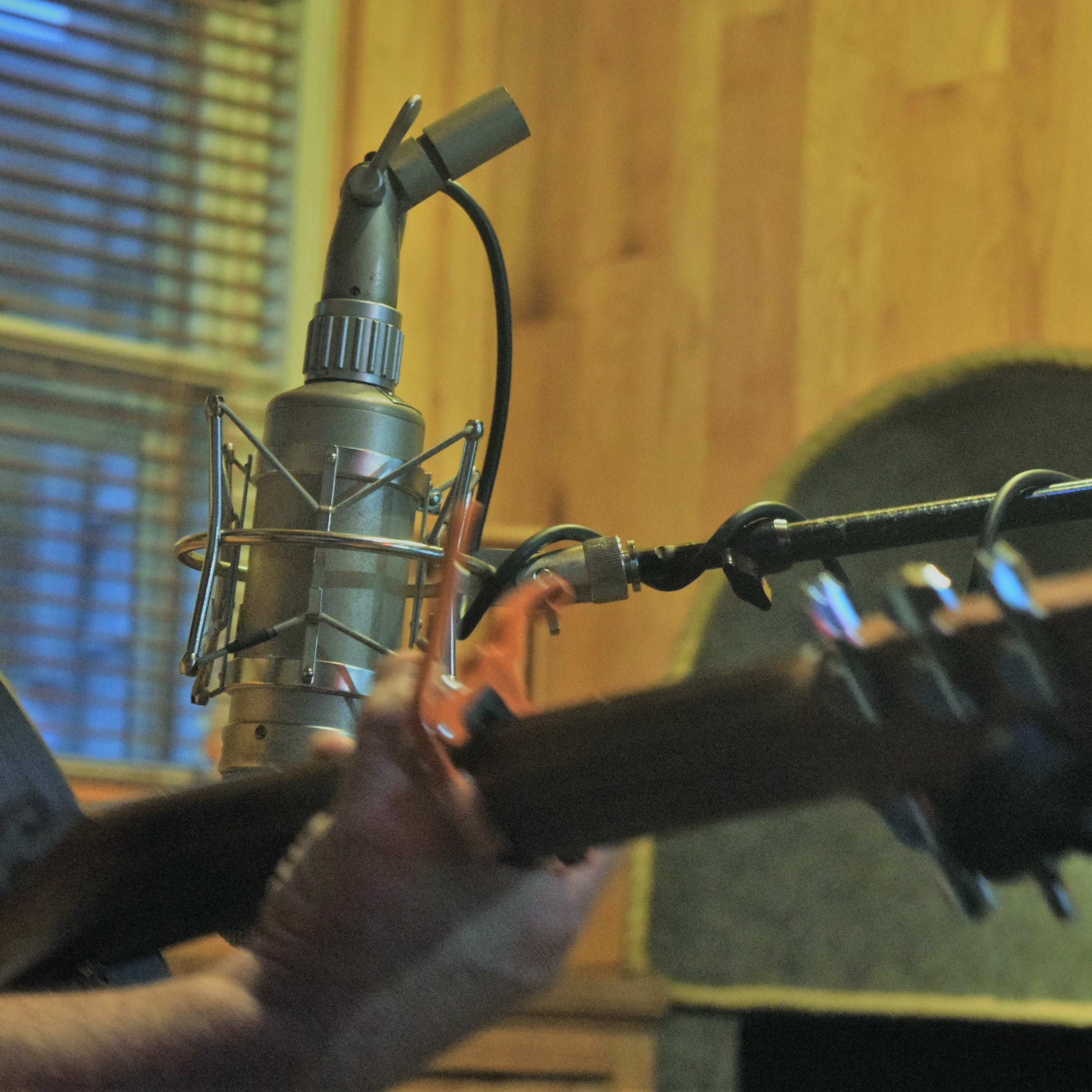 Talent Search winner Taylor Barker's new musical bonds; Brumbach Stephens hauls one giant tree thumbnail