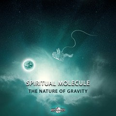 02 - Spiritual Molecule - The Nature Of Gravity