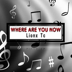 Lionx TC - Where are you now