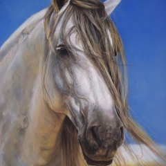 High Horse Hybrid