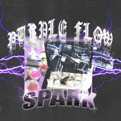 PSW SPARK - Purple Flow