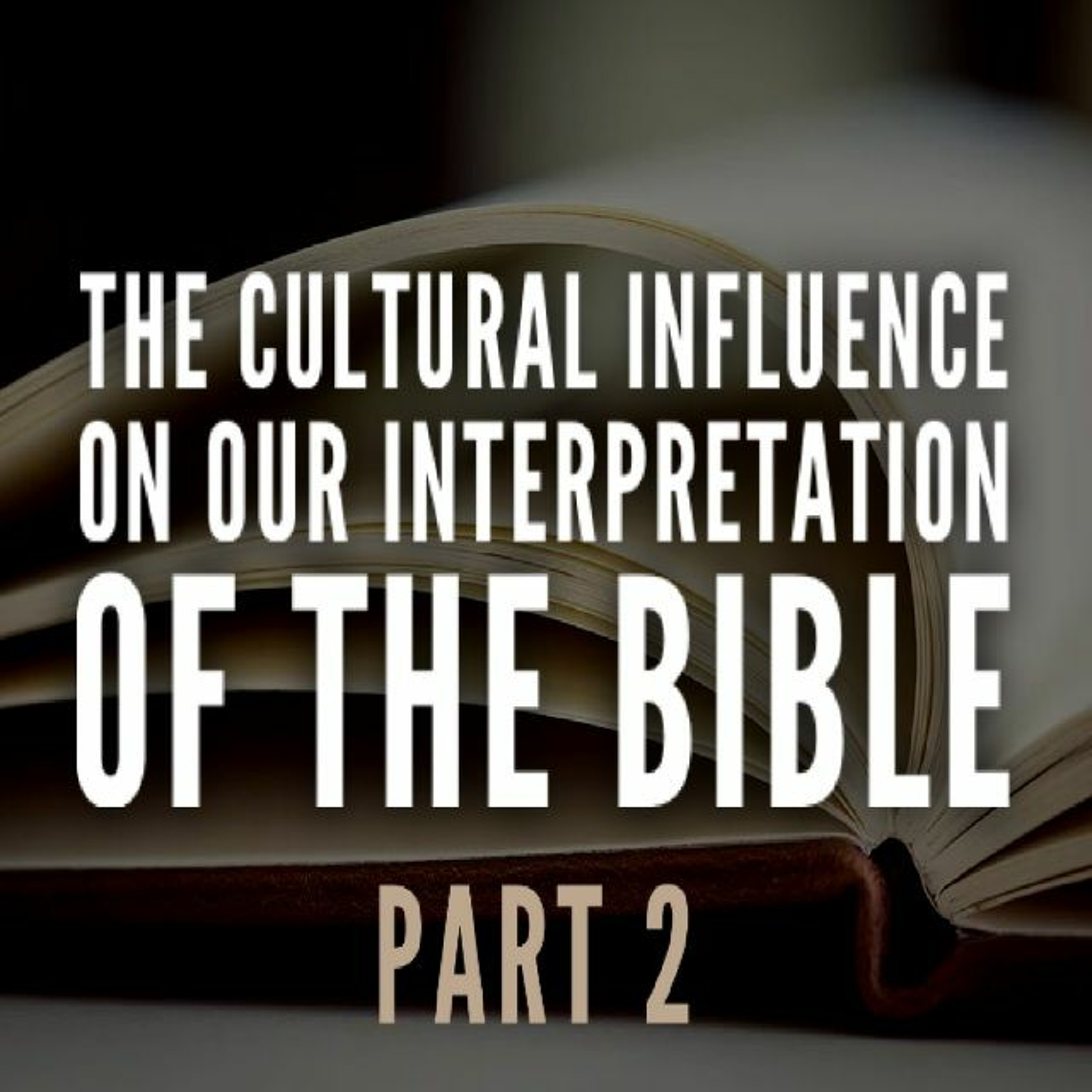 Hans-Georg Hoprich: The Cultural Influence on Our Interpretation of the Bible (Part 2) episode artwork