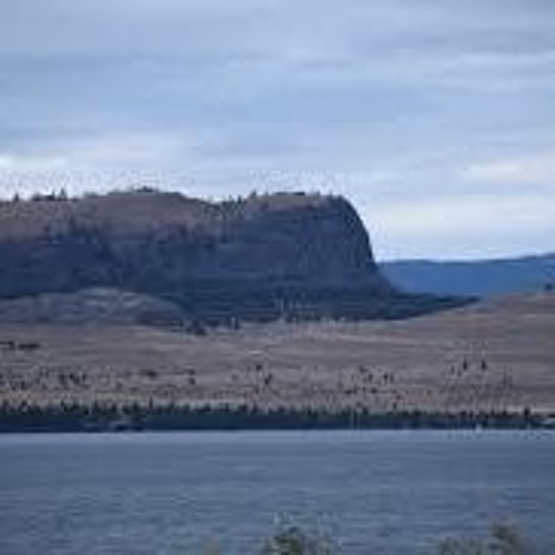 LOSE CONTROL-[Ft.RPD] [Prod.Retro Beatz]