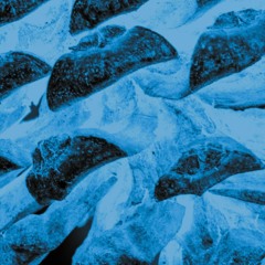 a rainy day - shesnot