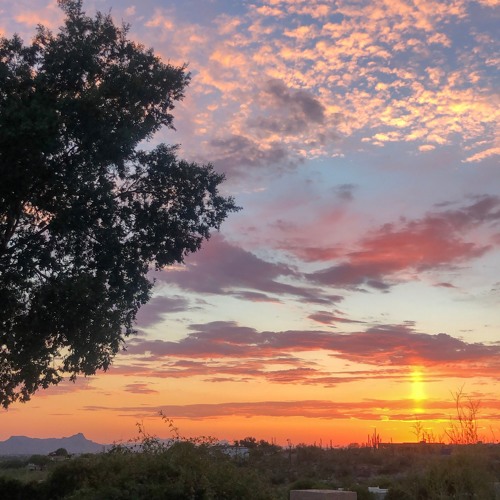 Lessons Learned 002 11/28/19