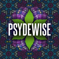 PSYDEWISE @ Origin Festival 2019