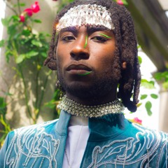 VIRGIL HAWKINS - FUSS